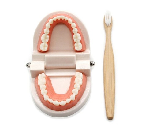 Montessori Educational Toys For Children Early Learning Kids Intelligence Brush - Picture 12 of 12