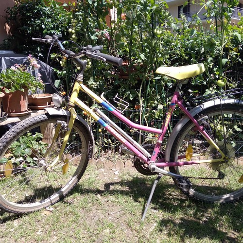 Biciclette (Tutte e due assieme) - Foto 3 di 10