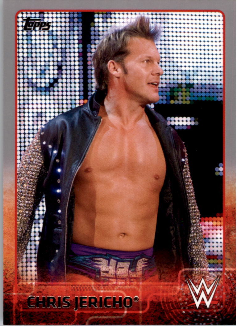 2015 Topps WWE Silver #17 Chris Jericho - NM-MT