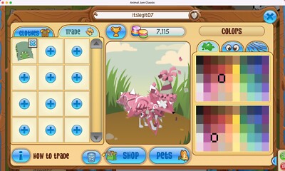 ANIMAL JAM BETA BLANKET (READ DESCRIPTION BEFORE BUYING!)