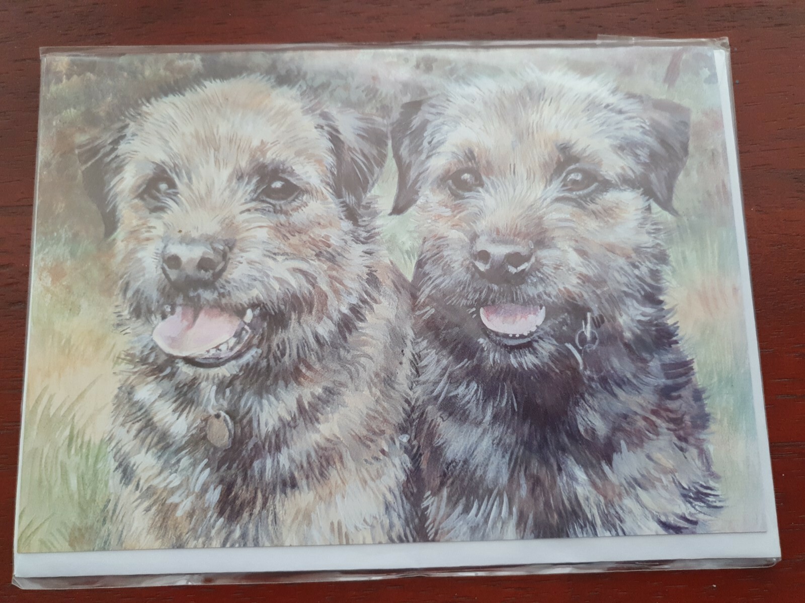 Border Terriers greetings card BORDER TERRIER birthday card puppy dogs dog cards