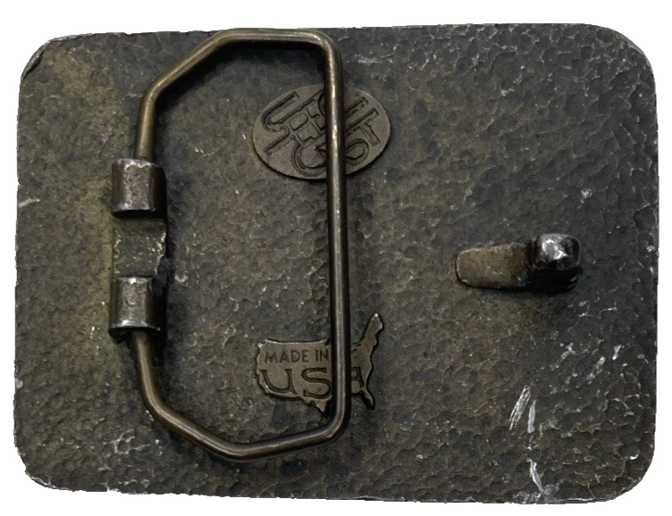 Fivela de cinto Arizona Southwest Western Desert Saguaro cacto nativo americano - Imagem 2 de 4