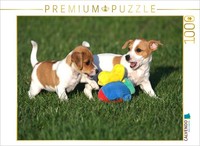 Calvendo Puzzle Jack Russell Puppies | 1000 Pieces, Finished Size 25.2 × 18.9 In