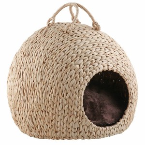 cane cat cave