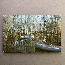 Cubierta de musgo de piragüismo postal de canoa cerca de Tom Gaskins Cypress Kneeland Palmdale FL