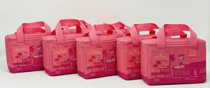 LOT OF 10! BRAND NEW WITH TAGS! PINK! Trader Joe's Mini Insulated Tote Bags