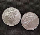 Lot Of 2 2019 American Silver Eagle Coins 1oz. Pure Silver BU Free Shipping
