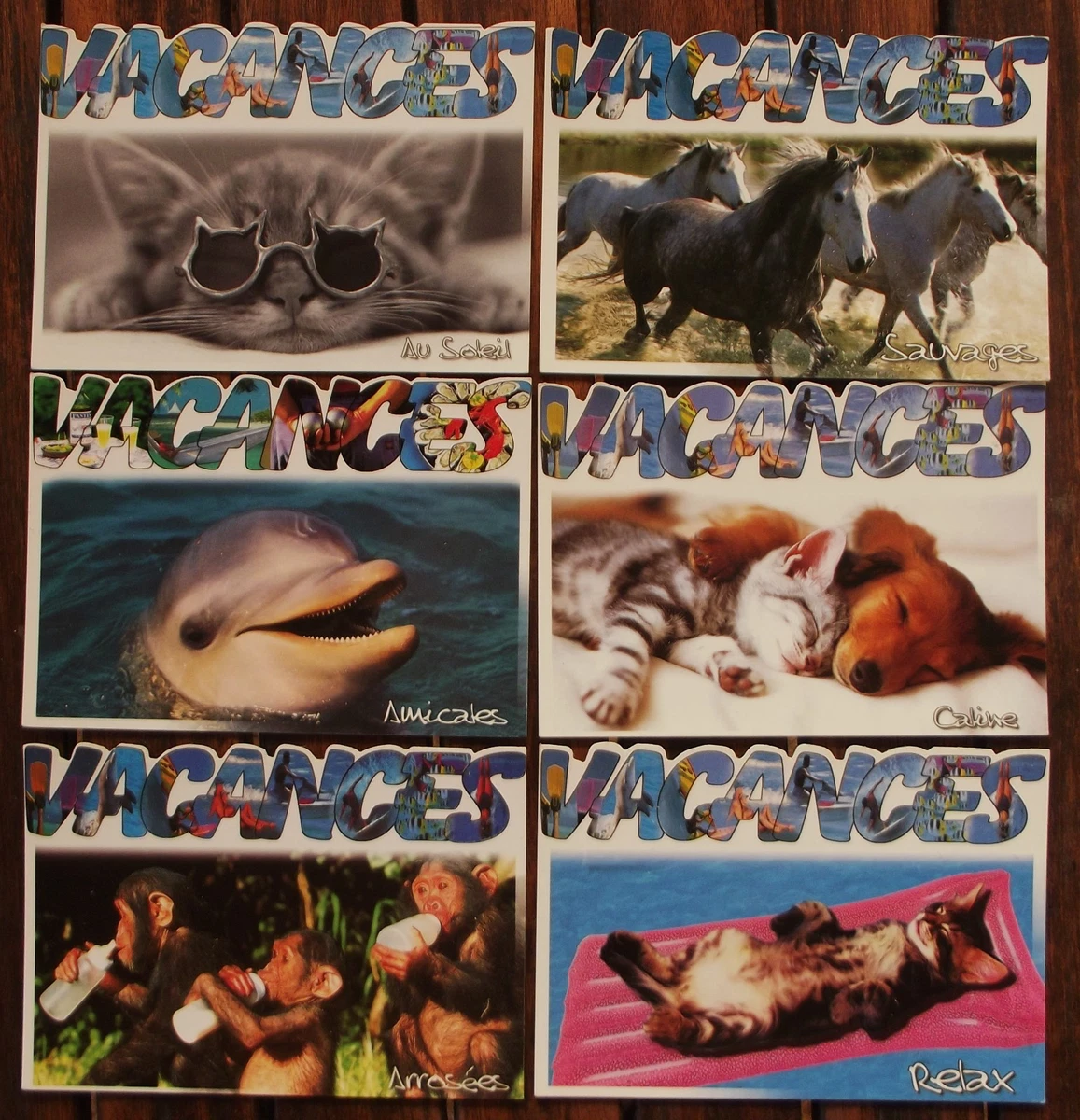 Carte Postale du Var (83) GF Souvenir de la Côte Varoise