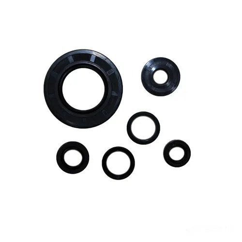 Dichtungssatz Wellendichtring P400250400043 FüR Kawasaki Z 1000 C ABS 2007-2009-image