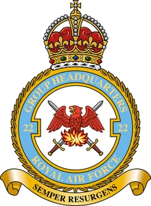 Royal Air Force RAF No 22 Group badge patch Self Adhesive Vinyl Sticker