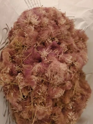 HOMEMADE 100g Dried Mimosa Silk Tree Flowers Edible Albizia Julibrissin Tea Herb Brewing