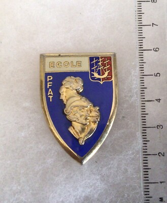 INSIGNE Broche ENF École Natation Française - Collection