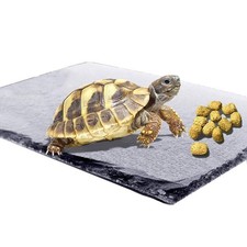 Reptile Basking Platform 7.9 x 11.8 inches , Natural Rock Plate Turtle Food ...