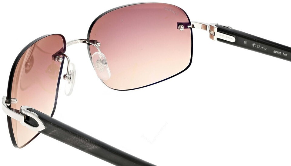 CARTIER Brown Lens with Buffalo Horn Men's Sunglasses CT0023RS 001