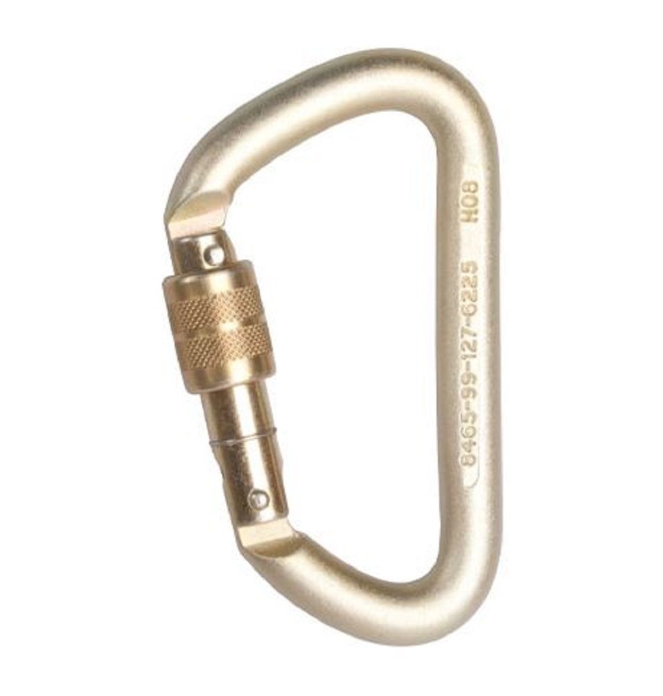 DMM Offset D 12mm Steel Screwgate Karabiner / Carabiner C812