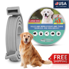 Dog collar Flea and Tick Treatment Waterproof 8 Months Protections