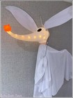 Foto 15 di 24