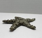 Foto 3 di 6