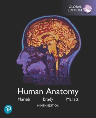 Human Anatomy Global Edition by Elaine N Marieb PAPERBACK 9781292314471