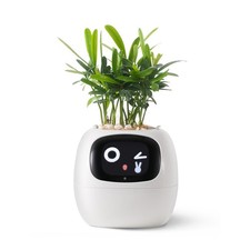 Smart pet Planter Robot Guidance on Plant Care with Emojis, Adorable Plant Co...