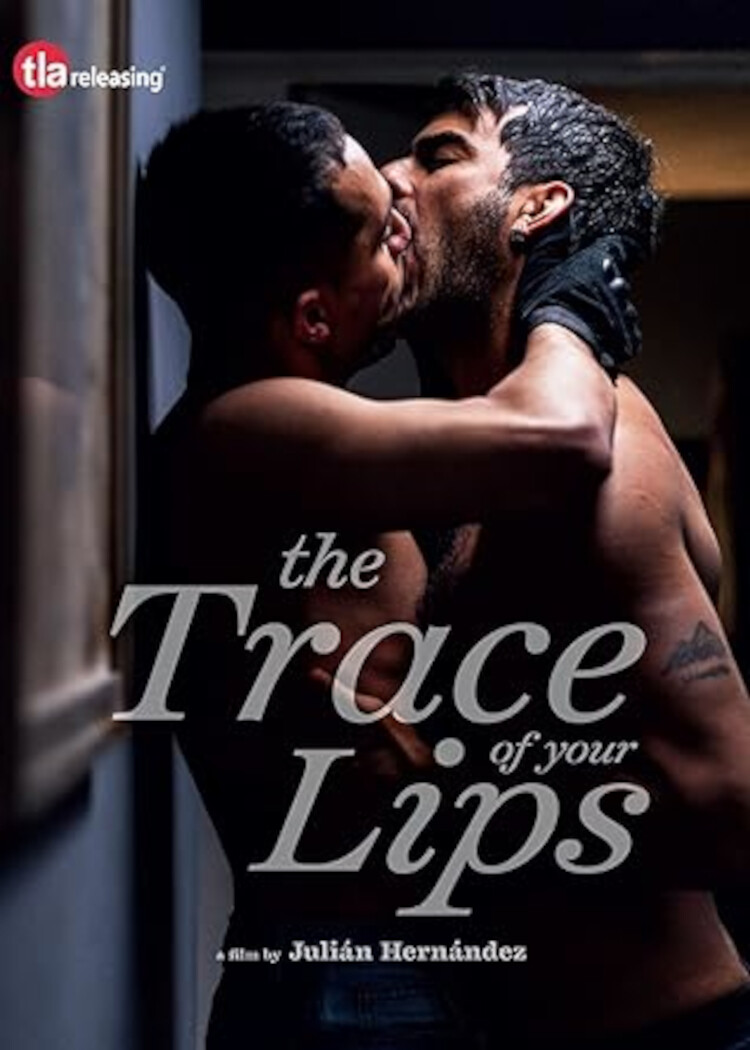 The Trace of Your Lips (DVD) Giovanna Zacarias Hugo Catalán Mauricio Rico