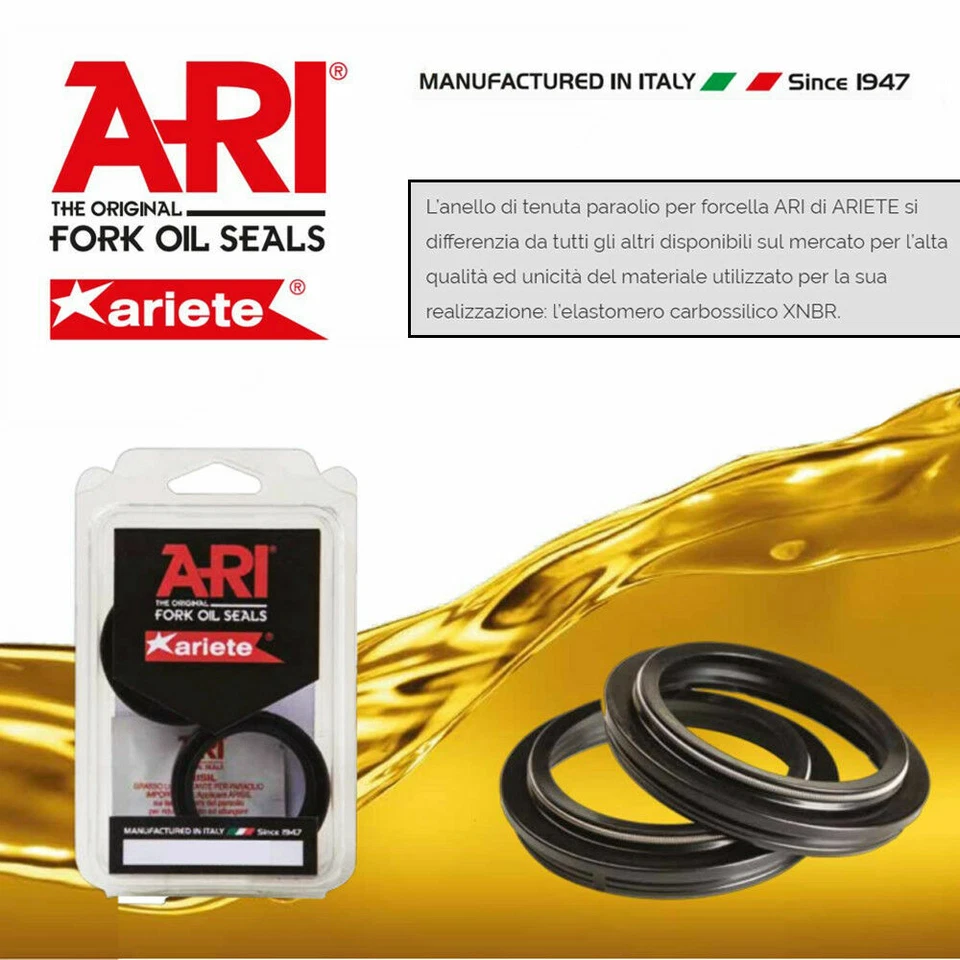 KIT 1L MOTUL 7,5W PARAOLI FORCELLA 43x54x11 DUCATI MONSTER S4 R 996 996 2005 - Immagine 4 di 4