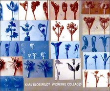 Karl Blossfeldt: Working Collages by Ann Wilde (English) Hardcover Book