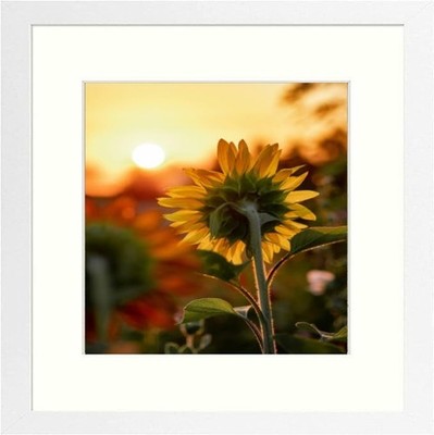 12x12 8x8 30x30 White Photo Picture Frame Plexiglass Front Mat Wall Gallery
