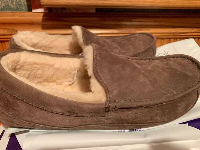 mens ugg slippers size 11