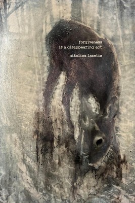 Nikolina Lazetic | forgiveness is a disappearing act | Taschenbuch | Englisch