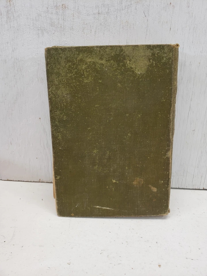 Freckles by Gene Stratton-Porter, 1904 Foto 3 de 4