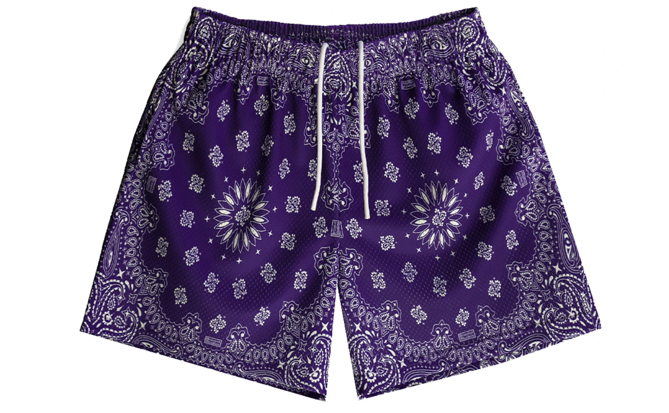 Шорты из фиолетовой сетки Bravest Studios с узором Пейсли, мужские размеры