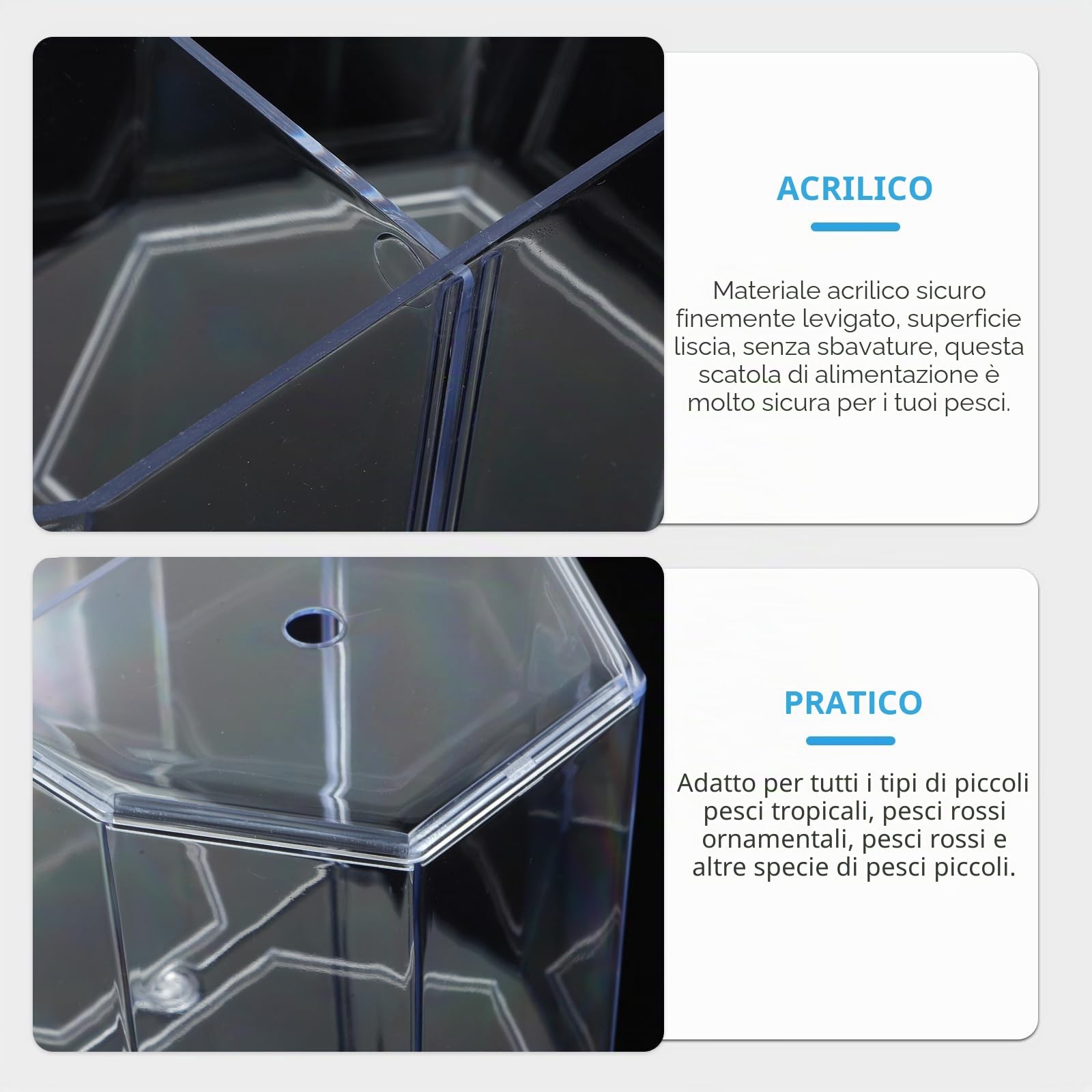 Piccolo Acquario Betta: Piccolo Acquario Trasparente o Con Partizione Mobile foto 6