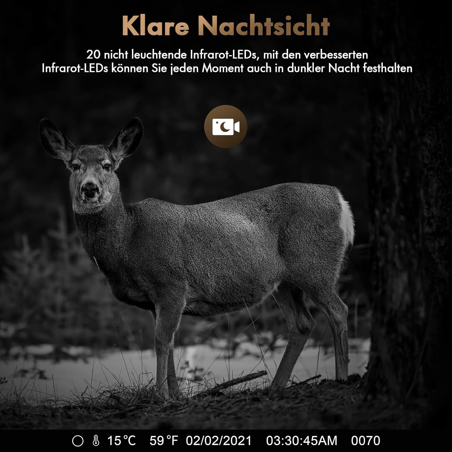 Bild 8 von 11