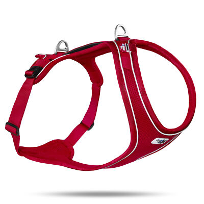 Curli Belka Comfort Geschirr L Rot Hundegeschirr Brustgeschirr kleine Hunde
