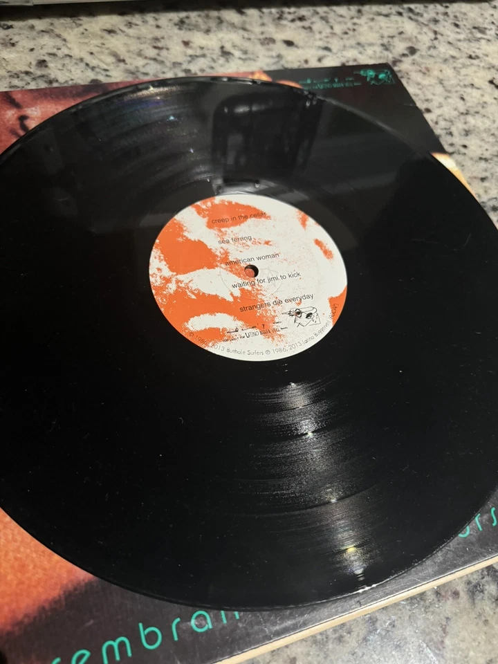 Butthole Surfers – Rembrandt Pussyhorse 12" LP Vinyl Record 2013 Pres VG+ - Image 3 of 4