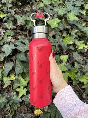 Disney Parks Minnie Mouse Stainless Steel Water Bottle With Clip New