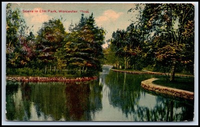 Postcard Scene in Elm Park, Worcester, Mass.   A96