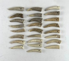 25 - 1 " DRILLED DEER ELK ANTLER TINE TIPS ARTS CRAFTS JEWELRY TOGGLES Bag 1880