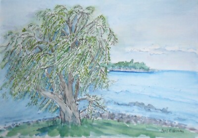Framed Original Landscape Watercolor Painting WINDY WILLOW CR Basciano 11x14