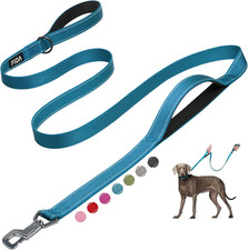 6 FT Heavy Duty Dog Leash with 2 Comfortable Padded Handles, Traffic Handle  Ad
