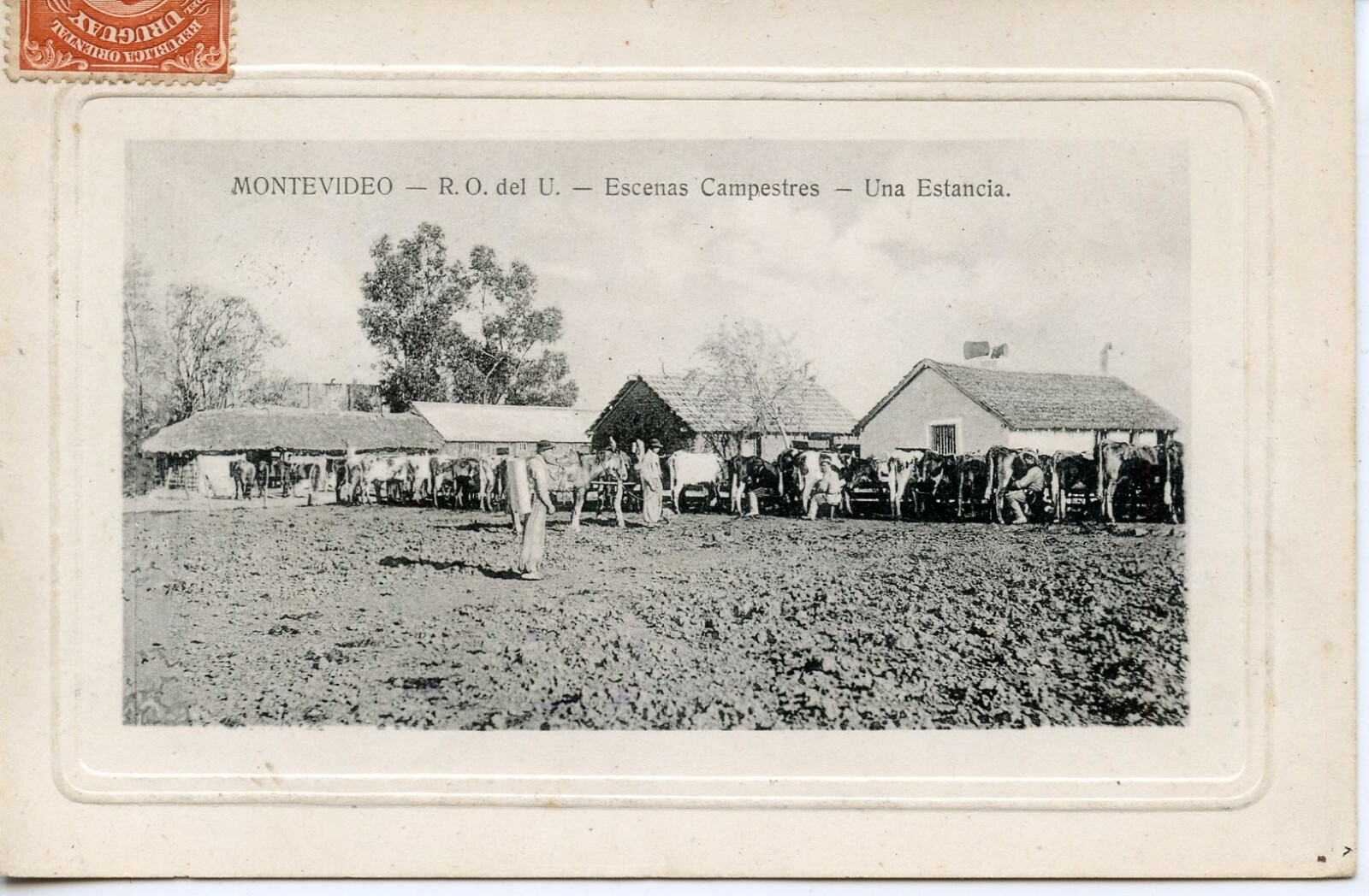 POSTCARD / CARTE POSTALE / URUGUAY MONTEVIDEO ESCANAS CAMPESTRES UNA ESTANCIA