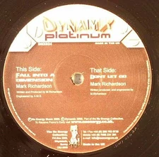 Mark Richardson - Don't Let Go / Fall Into A Dimension - Used Vinyl R - Y5628z