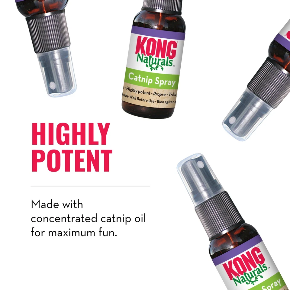 KONG - Naturals Catnip Spray for Cats - 1 Fluid Ounce - image 2 of 4