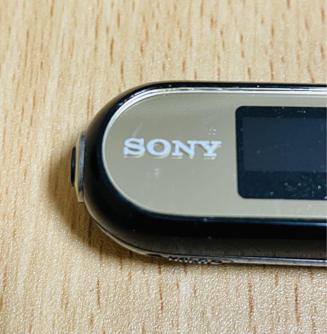 Sony Walkman Nw-E044 8Gb Digital Music Player | eBay