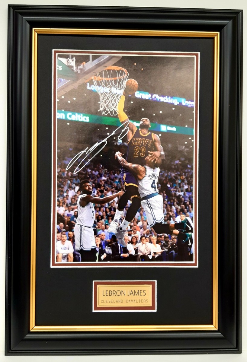 Miami Heat Crowd Lebron James December 2010 LeBRON JAMES 2008 NBA