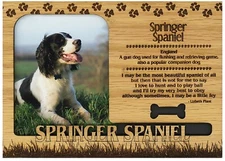Springer Spaniel Engraved Wood Picture Frame Magnet