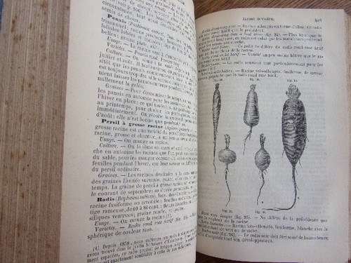 Agriculture. Le nouveau jardinier. 500 dessins 1877. 2/2vols - Picture 5 of 11