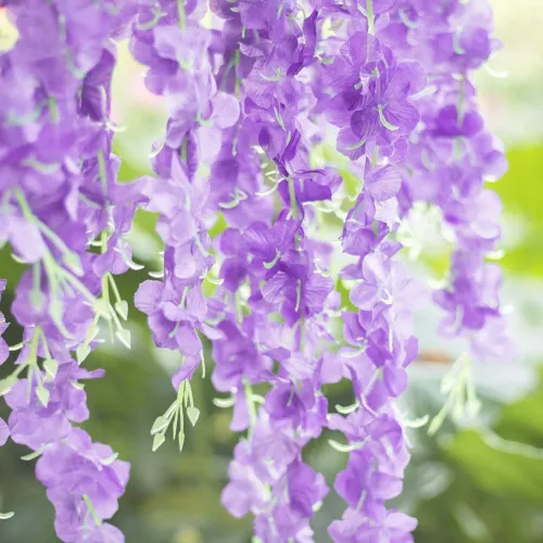 Guirnalda de vid de glicinia artificial 24 un. planta de flores falsas jardín decoración de bodas - Imagen 12 de 38