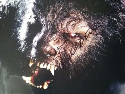 Benicio del toro the wolfman 10 x 8 signed photo